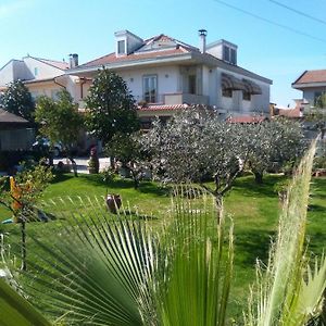 Le Magnolie B&B
